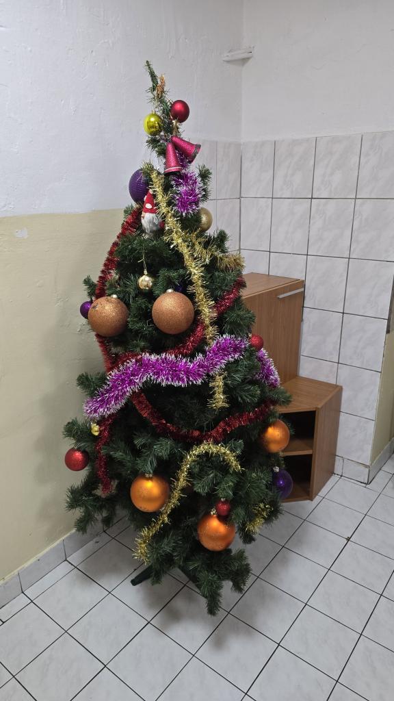 Vianočný stromček v Nocľahárni