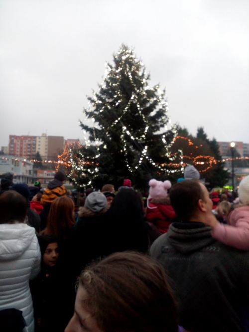 201601191618480.img-20151204-155644