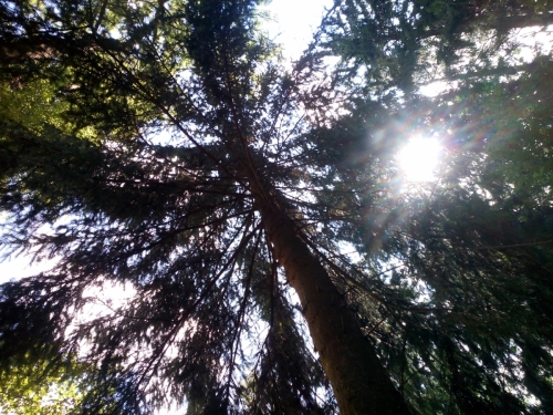 201607071747570.img-20160705-134306