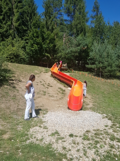 Útulok a KC Khamoro - Športový deň