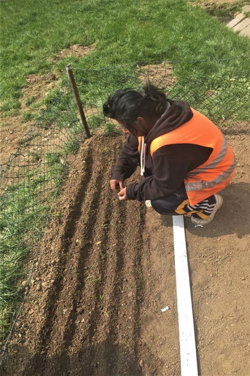 201904181336190.56800806-10219183656408072-8485394198957129728-n
