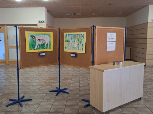 202509111132370.vystava2