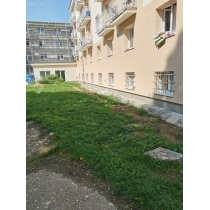 Sťahovanie