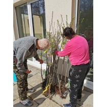 article-noclaharen