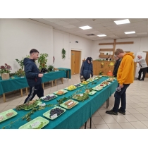 dss-vystava-ovocia-a-zeleniny-9102025